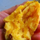 김제산 밤고구마&amp;호박고구마 특가판매!!!! 이미지