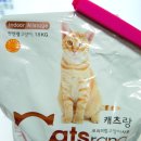 초보 집사의 고양이 분양 받기전 고양이 필수 물품 구입하기!