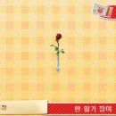 피시플러스 네이버블로그