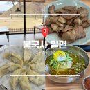 경주 맛집 추천 불국사 밀면 경주 봉황대점 (본점 직영점)