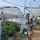 오병이어농장 이미지