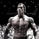 현대보디빌딩 이미지