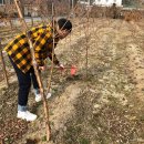 유수정농장 이미지