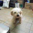 영주시이산면보건지소 이미지