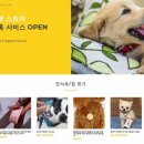 마이펫스토어 이미지