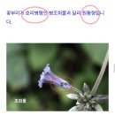 정선 항골 숨바우길(엠투엠) 260808 이미지