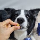 오복누리 군위공장 이미지