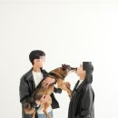 토리 - 영등포구 영중로 40 | 토리