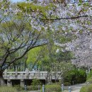 장충단공원 이미지