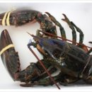 (주)박상 이미지