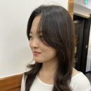 다인내추럴 이미지