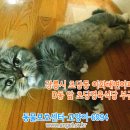 이화정육식당 이미지