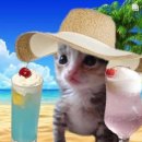 덕원교자 | 여름이 좋아?