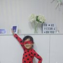 마망 엘리펀트 이미지