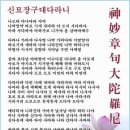 신묘 Daum카페
