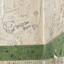 더미소국수 이미지