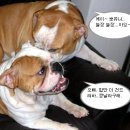 대장 이미지