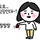 라탄홀릭