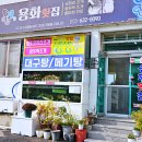 용화횟집 | 가조도 맛집 신선한 조개가 입에서 춤을췄던 용화횟집