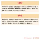 마인드온심리상담센터