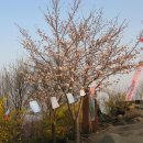 용마산입구 이미지