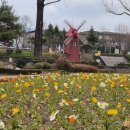 증평장뜰재래시장 | [증평 여행] 증평장뜰시장, 골든타겟슈팅센터, 보강천 미루나무숲, 율리휴양촌