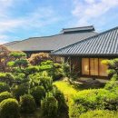 봄나라 | 김포출발 간사이 3박4일 패키지 후기, 오사카 교토 나라 고베 봄 여행 완벽 코디!