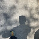 조안보건지소 앞 | 주말 평일 서울 근교 날 좋은 날 트레킹 하기 좋은 서울근교 등산코스“수종사 등산 후기“