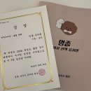 멍줍강아지산책유치원 | 멍줍 강아지 유치원 8월 이벤트 후기&lt;창원강아지유치원&gt;&lt;진해강아지유치원&gt;