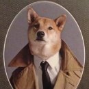 에스오비 Daum카페