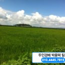 교동면-7 이미지