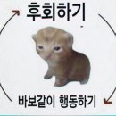 뽑 피자 | 한해의 절반을 보내며 …