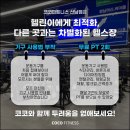 코코세미 이미지