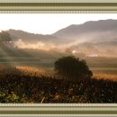 늘,그곳 이미지