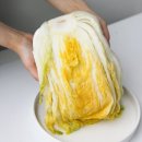 주식회사 마이올