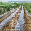 윤악기사 | 편의점 신상보다파김치사랑밥