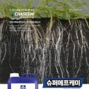 관수슈퍼