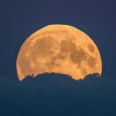 Rare &#39;super blue blood moon&#39; dazzles sky gazers 이미지