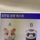 햄스터살롱 | 제 1회 베리던 살롱 후기