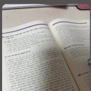 노나다 이미지