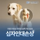 리연외과동물병원 이미지