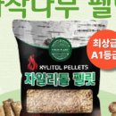 주식회사 펫플래닛 이미지