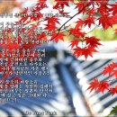 예향의 숲 이미지