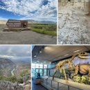 FRANK PARK | 유타에서 만난 진짜 공룡 화석! Dinosaur National Monument 방문기, 솔트레이크시티 근교 여행