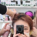 그로잉독 이미지