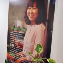 김현숙과PAMBIST학원 | 강남요리학원 원더쿠킹, 처음요리 수업 후기!