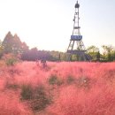 업사이클 페인팅 | 인천 드림파크 국화축제 2025, 입장료 무료! 안 가면 후회하는 이유