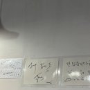 함덕왕갈비탕 | 제주도 매운 소갈비찜 맛집 내돈내산 "세화갈비" 본점 후기