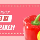 빨강도시락 이미지