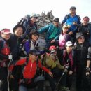 안승훈 카카오 검색결과